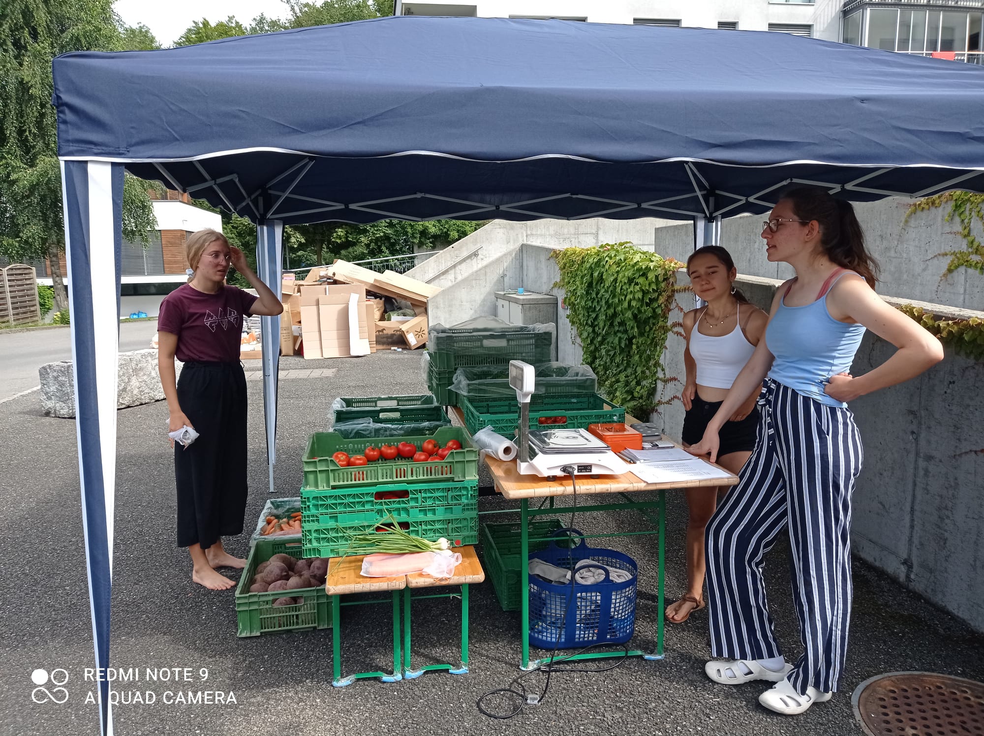 Gemuesestand-Aug2021_7